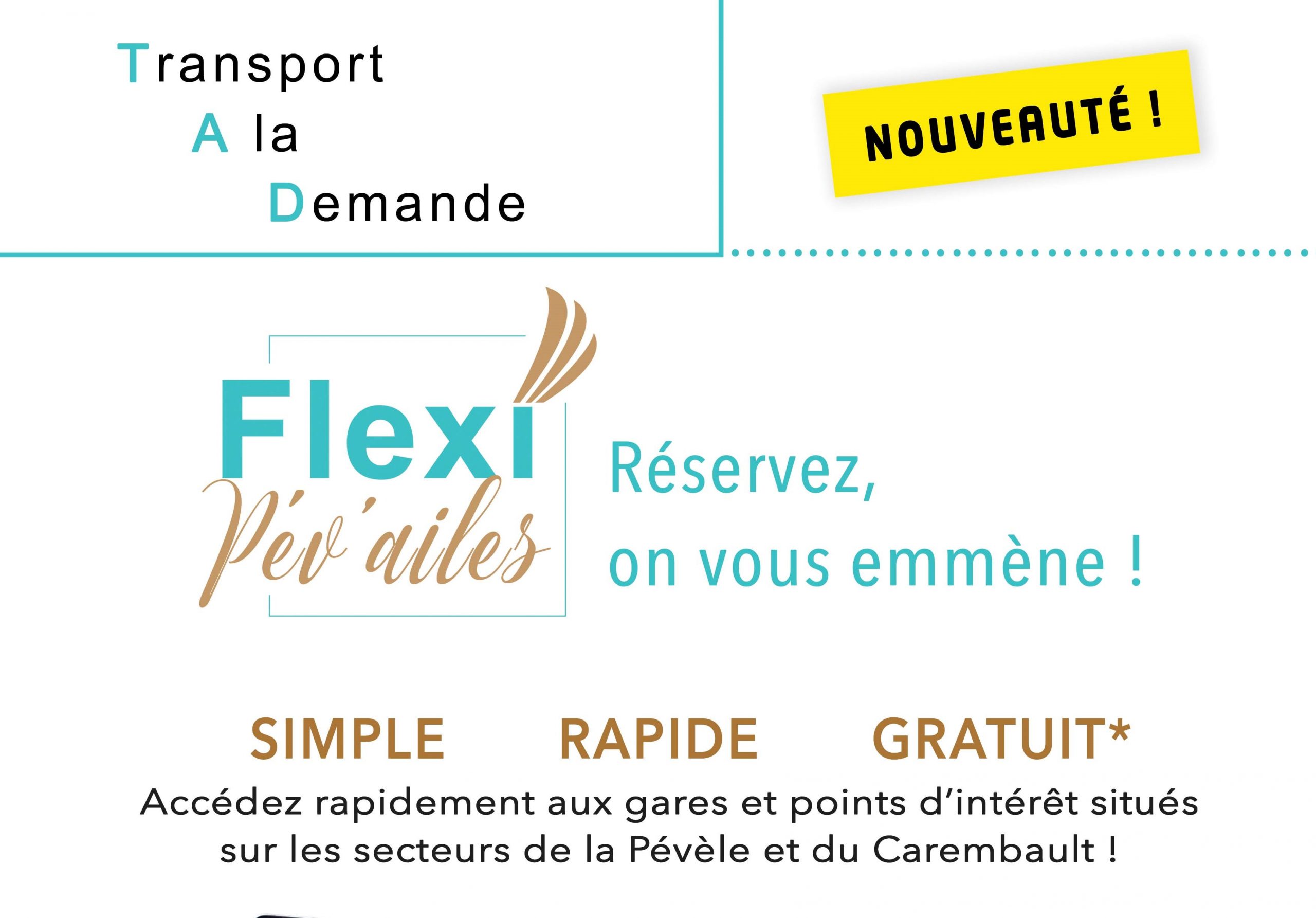 flexi 12 in ruler
